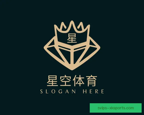 了解星空体育